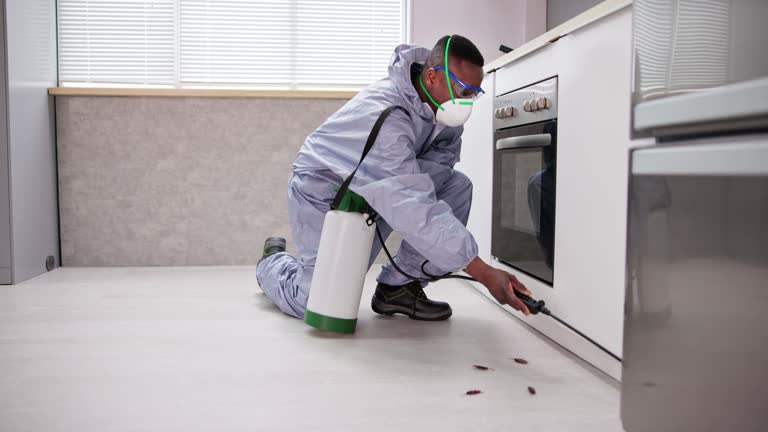 Best Residential Pest Control  in Uintah, UT